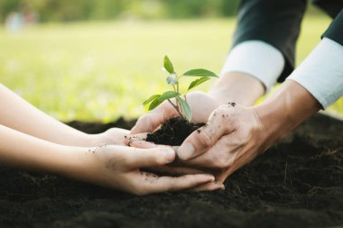 İşadamı, gübrelenmiş topraklarda küçük bir çocukla birlikte büyüyüp, büyüyen ve büyüyen bir bitki yetiştirerek sosyal sorumluluk sahibi bir çevre şirketi haline geldi, CO2 emisyonunu azalttı ve sürdürülebilir bir gelecek için ESG prensibini benimsedi. Gyre