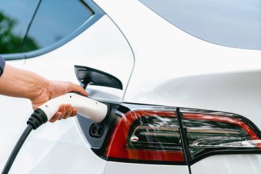 Yolculuk sırasında doğal orman ya da milli parktaki elektrikli araba için şarj olan bir adam. Tatil ve tatil boyunca çevre dostu seyahat. Yükselt