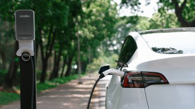 EV elektrikli araç EV şarj istasyonu ulusal park veya açık hava orman manzaralı. Çevre dostu EV arabalarla yaz ormanlarında doğal koruma. Yükselt