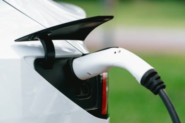 Temiz ve sürdürülebilir enerji kullanarak şarj olmak için EV şarj cihazına EV şarj cihazı takıldı. Doğal koruma ve çevre dostu araba yolculuğu konsepti. Yükselt