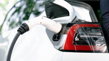 EV elektrikli araç EV şarj istasyonu ulusal park veya açık hava orman manzaralı. Çevre dostu EV arabalarla yaz ormanlarında doğal koruma. Yükselt