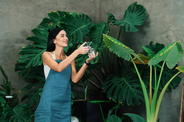 Joven Jardinero Femenino Que Tiende Riega Suavemente Planta Tropical Jardín —  Fotos de Stock