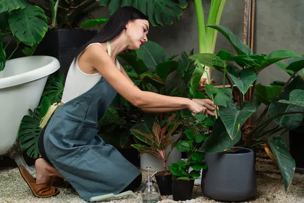 Молодая Женщина Садовница Ухаживает Культивирует Тропические Растения Минималистском Архитектурном Бетонном — стоковое фото