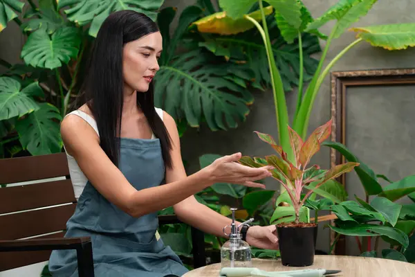 Jonge Vrouwelijke Tuinman Verzorgen Cultiveren Tropische Plant Minimalistische Architectonische Betonnen — Stockfoto