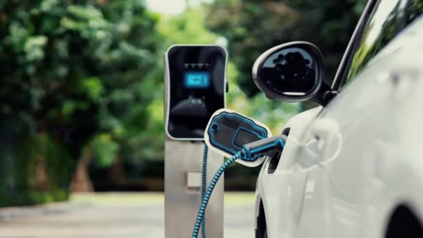 利用自然绿色停车场生态清洁充电站的未来智能电动汽车充电器为电动汽车充电 使用替代能源的未来环保电动车 仔细阅读 — 图库视频影像