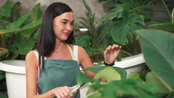 Genç Kadın Bahçıvan Minimalist Mimari Beton Tarzında Tropikal Bitkilerle Ilgileniyor — Stok video