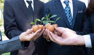 Bir grup iş adamı yumurta kabuğunu gübre tenceresine dönüştürüp, kurumsal yeniden ağaçlandırma projesinin bir parçası olarak filizlenme ve büyümeye olan bağlılığı sembolize ediyorlar. Döngü