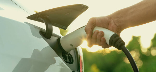 Человек подзарядки аккумулятора для электромобиля во время дорожного путешествия путешествия EV автомобиль в естественном лесу или национальном парке с восходом солнца освещения. Экологичные путешествия во время отпуска и отпуска. Экзальт