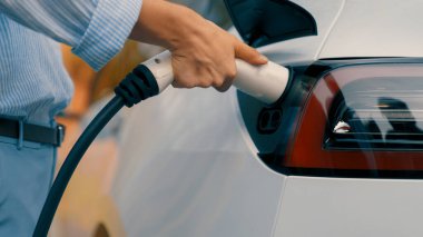 Otomobil seyahati sırasında elektrikli araba için şarj olan kadın Autumanl sezonunda doğal orman ya da milli parkta. Tatil ve tatil boyunca çevre dostu seyahat. Yükselt
