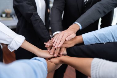 Çok ırklı iş adamları toplantı odasında iş birliği ya da şirket çalışanları için takım oluşturma amacıyla bir araya toplanıyorlar. Çok titiz.