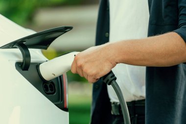 Yolculuk sırasında doğal orman ya da milli parktaki elektrikli araba için şarj olan bir adam. Tatil ve tatil boyunca çevre dostu seyahat. Yükselt