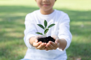 Asyalı çocuk filizlenirken ormanların yeniden ağaçlandırılması ve uzun vadeli çevresel sürdürülebilirlik konusunda çevre bilincinin desteklenmesi. Sürdürülebilir ekosistem ile gelecek nesiller için daha yeşil doğayı beslemek. Döngü