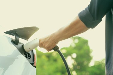 Yolculuk sırasında doğal ormanlarda ya da güneş ışığı alan ulusal parklarda elektrikli araba için şarj olan bir adam. Tatil ve tatil boyunca çevre dostu seyahat. Yükselt