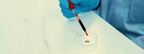 科学实验室的研究人员将血液样本放在显微镜上进行医疗检查或开发新的诊断工具 微生物学家或医务工作者在实验室进行实验 硬性D — 图库照片