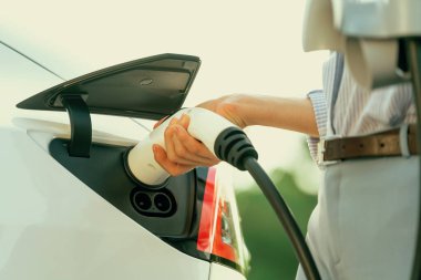 Yolculuk sırasında doğal orman ya da milli parktaki elektrikli araba için şarj olan genç bir kadın. Tatil ve tatil boyunca çevre dostu seyahat. Yükselt