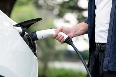 Yolculuk sırasında doğal orman ya da milli parktaki elektrikli araba için şarj olan bir adam. Tatil ve tatil boyunca çevre dostu seyahat. Yükselt