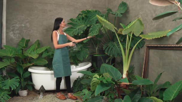 Młoda Kobieta Ogrodnik Tendencji Delikatne Podlewanie Roślin Tropikalnych Minimalistycznym Stylu — Wideo stockowe
