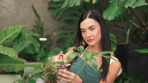 若い女性庭師は 環境保護主義的なライフスタイルのためのホームガーデニング 夏のエキゾチックな植物の葉庭で ミニマリスト建築様式のトロピカルプラントに優しい水やりをします ブリテット — ストック動画