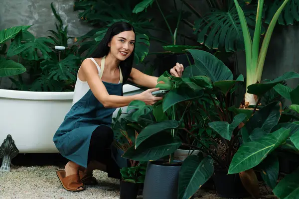 Mladá Zahradnice Ošetřující Upravující Tropickou Rostlinu Minimalistickém Architektonickém Betonovém Stylu — Stock fotografie
