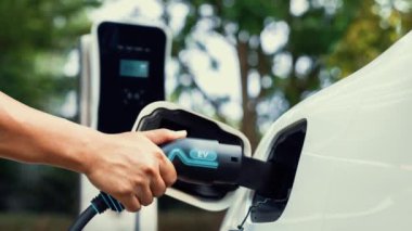 Adam EV şarj aleti takıyor ve yeşil park ve yeşillik arka planında akıllı şarj istasyonu olan elektrikli arabayı şarj ediyor. Çevre koruma için temiz enerjiden güç alan çevre dostu EV araba. İnceleyin