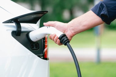 Yolculuk sırasında doğal orman ya da milli parktaki elektrikli araba için şarj olan bir adam. Tatil ve tatil boyunca çevre dostu seyahat. Yükselt