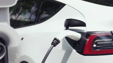 Yazın yeşil sürdürülebilir şehir bahçesinde elektrikli araba şarj oluyor. Kentsel sürdürülebilirlik yeşil şehir parkının iç organlarında şarj edilen elektrikli aracın yenilenebilir enerji yaşam tarzı