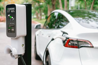 EV elektrikli araç EV şarj istasyonu ulusal park veya açık hava orman manzaralı. Çevre dostu EV arabalarla yaz ormanlarında doğal koruma. Yükselt