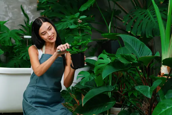 Mladá Zahradnice Ošetřující Upravující Tropickou Rostlinu Minimalistickém Architektonickém Betonovém Stylu — Stock fotografie