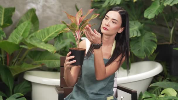 若い女性庭師は 環境保護主義的なライフスタイルのためのホームガーデニング 夏のエキゾチックな植物の葉庭で 最小限の建築様式で熱帯植物に傾倒し 栽培しています ブリテット — ストック動画