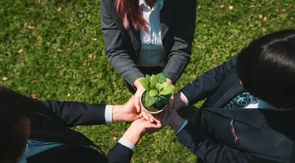 Business People Hold Plant Sprout Together Unity Teamwork Concept Eco — Stock Photo, Image