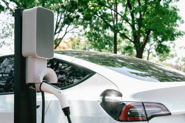 EV elektrikli araç EV şarj istasyonu ulusal park veya açık hava orman manzaralı. Çevre dostu EV arabalarla yaz ormanlarında doğal koruma. Yükselt