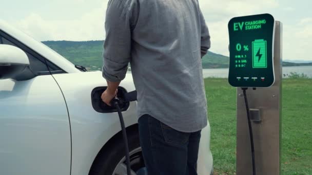 Insérez Main Chargeur Intelligent Voiture Électrique Avec Fond Nature Lac — Video