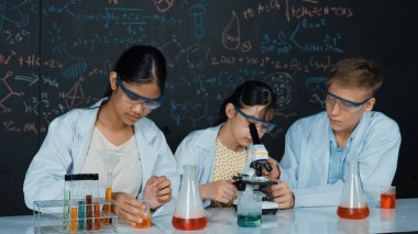 Akıllı genç kız kimya teorisi ile tahtayı dikkatlice incelerken mikroskop altında numune bırakıyor. Profesyonel bilim adamı tüpün içine kimyasal madde döker ve deney için hazırlanır. Öğretim.