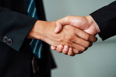 İş adamları konsepti kabul ediyor. İş adamı toplantı odasında başka bir iş adamıyla tokalaşıyor. uds