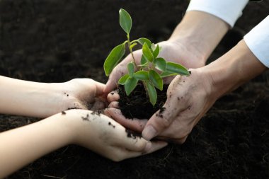 İşadamı, gübrelenmiş topraklarda küçük bir çocukla birlikte büyüyüp, büyüyen ve büyüyen bir bitki yetiştirerek sosyal sorumluluk sahibi bir çevre şirketi haline geldi, CO2 emisyonunu azalttı ve sürdürülebilir bir gelecek için ESG prensibini benimsedi. Gyre