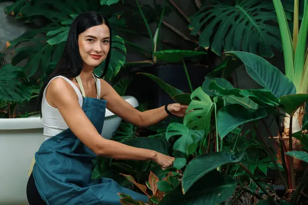 若い女性庭師は 環境保護主義的なライフスタイルのためのホームガーデニング 夏のエキゾチックな植物の葉庭で 最小限の建築様式で熱帯植物に傾倒し 栽培しています ブリテット — ストック写真
