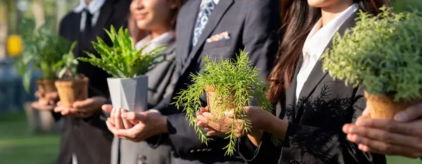 Business people holding plant as concept of eco company committed to corporate social responsible, reducing CO2 emission, protect environment, and embrace ESG principle for sustainable future. Gyre