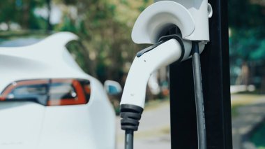Yazın yeşil sürdürülebilir şehir bahçesinde elektrikli araba şarj oluyor. Kentsel sürdürülebilirlik yeşil şehir parkının iç organlarında şarj edilen elektrikli aracın yenilenebilir enerji yaşam tarzı