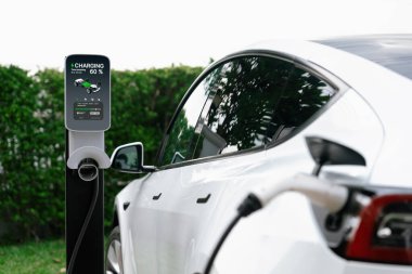 Closeup EV charger plug handle attached to electric vehicle port, recharging battery from charging station. Modern designed EV car and clean energy sustainability for better future concept. Synchronos clipart