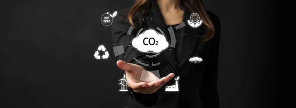 Business Person Implements Initiatives Reduce Co2 Emissions Aiming Net Zero — Stock Photo, Image