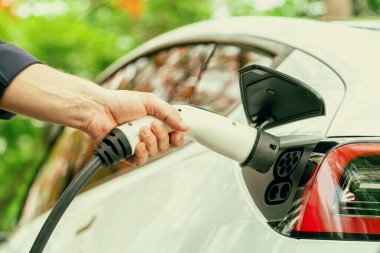 Sonbahar gezisi sırasında sonbahar ormanı arabasında elektrikli araba için şarj eden bir adam. Sonbahar tatilinde elektrikli araçla çevre dostu bir seyahat. Yükselt