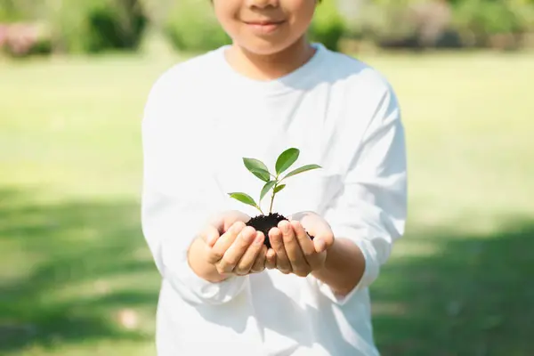 Promoting eco awareness on reforestation and long-term environmental sustainability with asian boy holding sprout. Nurturing greener nature for future generation with sustainable ecosystem. Gyre