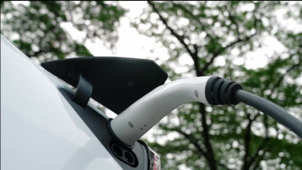 Электрический Автомобиль Аккумулятор Зарядной Станции Национальном Парке Открытый Лес Живописный — стоковое видео