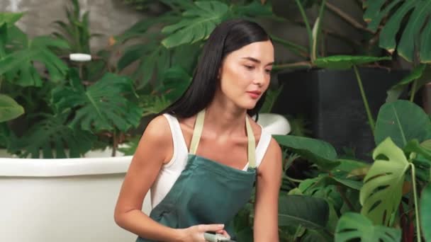 Joven Jardinero Femenino Que Atiende Recorta Planta Tropical Jardín Follaje — Vídeos de Stock
