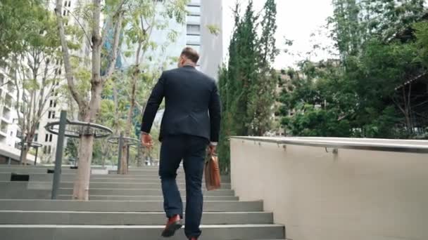 グリーンシティでスーツケースを保持しながら階段を歩く正式なスーツを持つ慎重なマネージャーのバックビュー エコ都市の階段を登りながら仕事をするプロのビジネスマン ウラベン — ストック動画