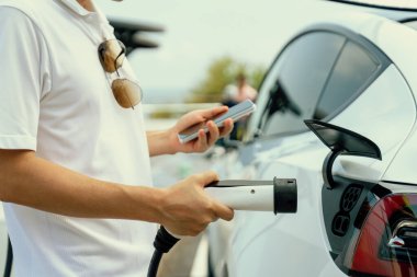 EV 'yi şarj etmek için elektrikli araca EV şarj prizi tak, akıllı telefon EV uygulamasında pil durumu görüntüsü. Ulaşım için alternatif temiz ve sürdürülebilir enerji. Kalıcı