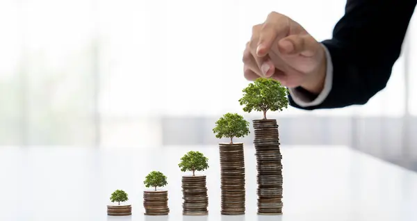 Wzrostowy Stos Monet Drzewem Górze Symbolizuje Zielone Inwestycje Biznesowe Csr — Zdjęcie stockowe