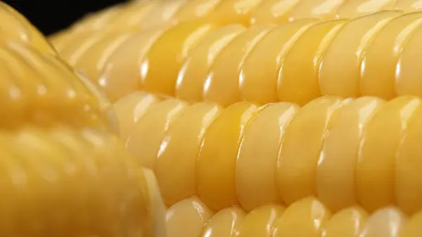 stock image A close up view of fresh corn reveals a golden yellow kernel with against a black background. This plump and nutrient-rich gem boasts a glossy sheen, hinting at its sweet and buttery. Comestible.