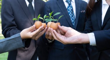 Bir grup iş adamı yumurta kabuğunu gübre tenceresine dönüştürüp, kurumsal yeniden ağaçlandırma projesinin bir parçası olarak filizlenme ve büyümeye olan bağlılığı sembolize ediyorlar. Döngü