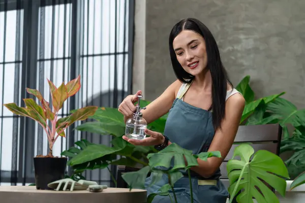 若い女性庭師は 環境保護主義的なライフスタイルのためのホームガーデニング 夏のエキゾチックな植物の葉庭で ミニマリスト建築様式のトロピカルプラントに優しい水やりをします ブリテット — ストック写真